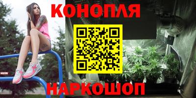 шишки Краснознаменск