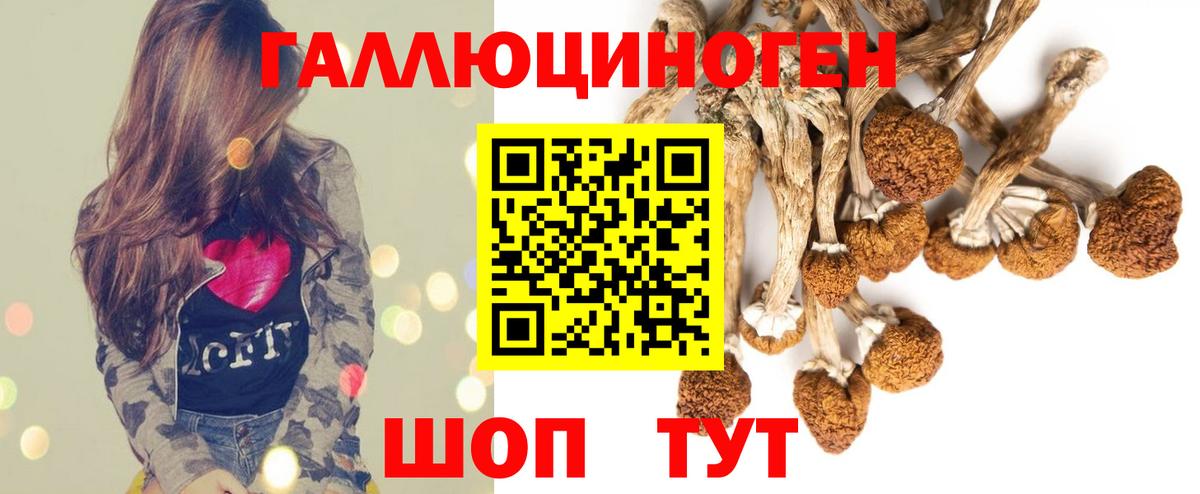 наркота  Вход с VPN  Псилоцибиновые грибы Cubensis  Кимры  Галлюциногенные грибы Cubensis 