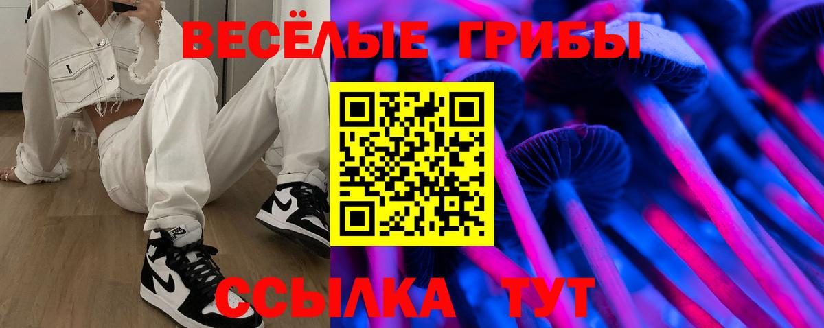Псилоцибиновые грибы мицелий Кимры